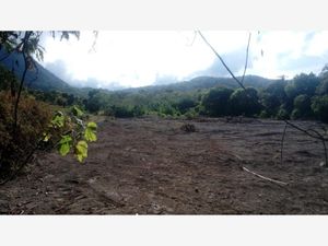 Terreno en Venta en El Ahuacate Tepic