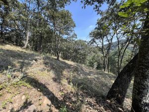 Terreno en Venta en Villa del Carbón Villa del Carbón