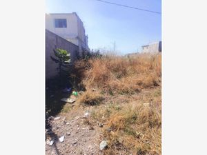 Terreno en Venta en Yecapixtla Yecapixtla