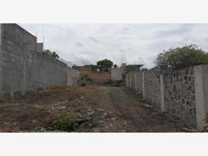 Terreno en Venta en Vergeles de Oaxtepec Yautepec