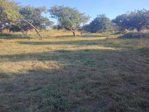 Terreno en Venta en Tepetlixpita Totolapan