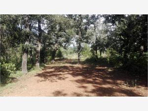 Terreno en Venta en Huasca de Ocampo Centro Huasca de Ocampo