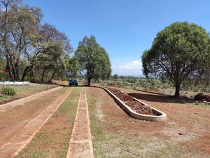 Terreno en Venta en Huasca de Ocampo Centro Huasca de Ocampo