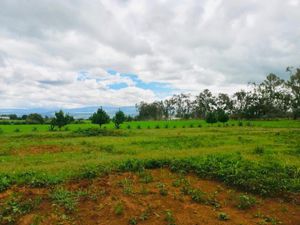 Terreno en Venta en Huasca de Ocampo Centro Huasca de Ocampo