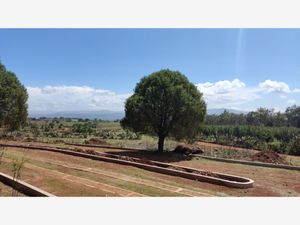 Terreno en Venta en Cerritos Huasca de Ocampo