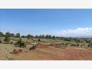 Terreno en Venta en Cerritos Huasca de Ocampo