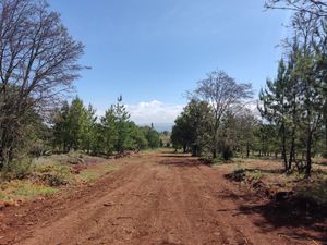 Terreno en Venta en Huasca de Ocampo Centro Huasca de Ocampo