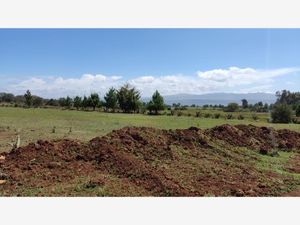 Terreno en Venta en Huasca de Ocampo Centro Huasca de Ocampo