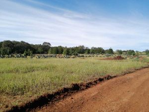 Terreno en Venta en Huasca de Ocampo Centro Huasca de Ocampo