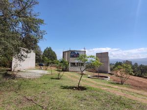 Terreno en Venta en Huasca de Ocampo Centro Huasca de Ocampo