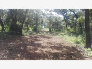 Terreno en Venta en Huasca de Ocampo Centro Huasca de Ocampo