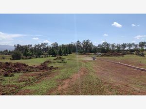 Terreno en Venta en Huasca de Ocampo Centro Huasca de Ocampo