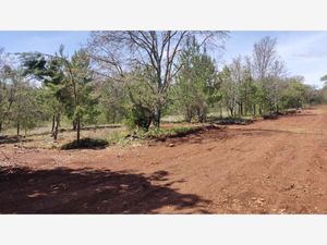 Terreno en Venta en Huasca de Ocampo Centro Huasca de Ocampo