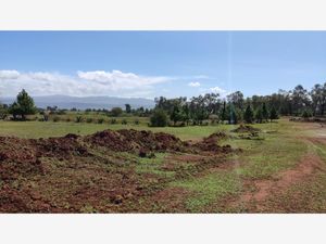 Terreno en Venta en Huasca de Ocampo Centro Huasca de Ocampo