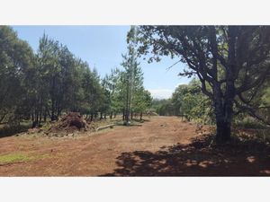 Terreno en Venta en Huasca de Ocampo Centro Huasca de Ocampo