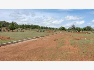 Terreno en Venta en Cerro del Tezontle Huasca de Ocampo