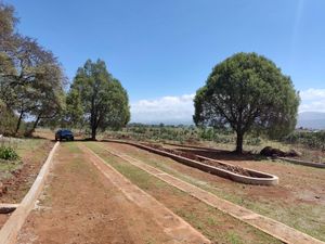 Terreno en Venta en Huasca de Ocampo Centro Huasca de Ocampo