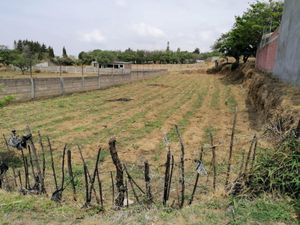 Terreno en Venta en Totolapan Totolapan