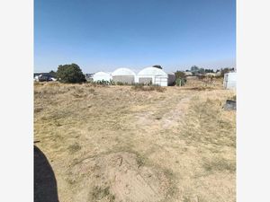 Terreno en Venta en Calimaya Calimaya