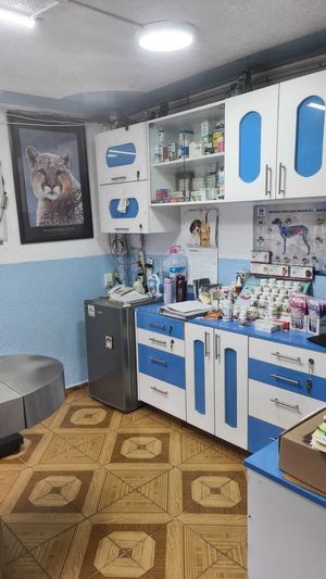 VENTA DE HOSPITAL VETERINARIO O PREDIO PARA CONSTRUCCIÓN