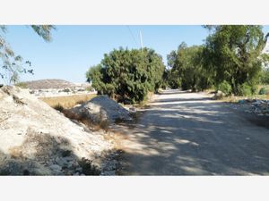 Terreno en Venta en El Saucillo Mineral de la Reforma