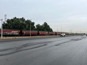 Terreno en Venta en Parque Industrial Ferropuerto Torreón