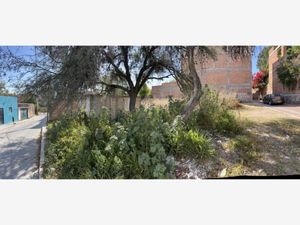 Terreno en Venta en Providencia San Miguel de Allende