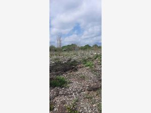 Terreno en Venta en San Juan Izamal Izamal