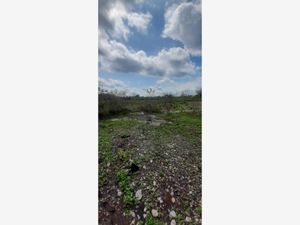 Terreno en Venta en San Juan Izamal Izamal