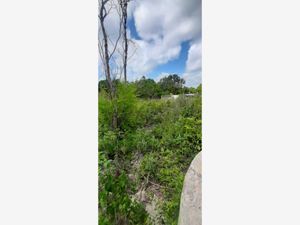 Terreno en Venta en San Juan Izamal Izamal