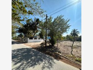 Terreno en Venta en Telchac Puerto Telchac Puerto