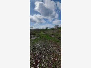 Terreno en Venta en San Juan Izamal Izamal