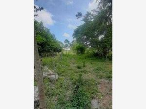 Terreno en Venta en San Juan Izamal Izamal