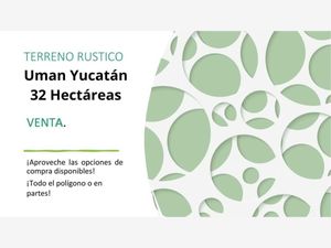 Terreno en Venta en Centro Umán Umán