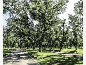 Terreno en Venta en Parras Parras