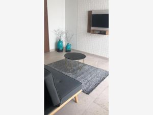 Departamento en Renta en San Isidro Torreón