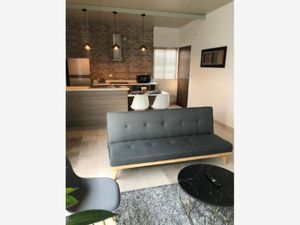 Departamento en Renta en San Isidro Torreón