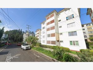 Departamento en Venta en Jardines de Xalapa Xalapa