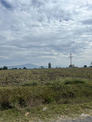 MAGNIFICO TERRENO PARA SIEMBRA 193 HECTAREAS