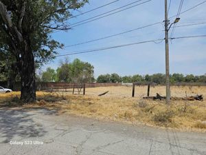 TERRENO EN GUADALUPE ZUNO (SAN ANTONIO) LA BARCA JAL.