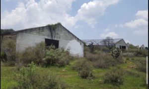 Rancho en Venta 10 hectareas, en La Laja, Tequisquiapan