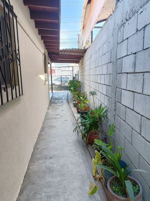 Departamento en Renta en 20 de Noviembre