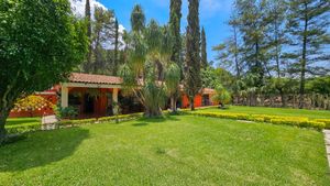 Rancho El Camichin, Ameca Jalisco