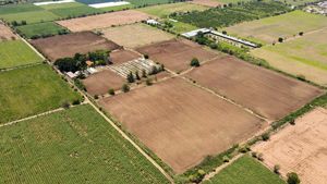 Rancho El Camichin, Ameca Jalisco