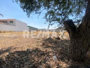 VENTA DE TERRENO EN COLINAS DEL BOSQUE 1A. SECCION