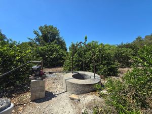 TERRENO EN ESQUINA CON PLANTIO DE LIMONES  EN YOBAIN, YUCATÁN