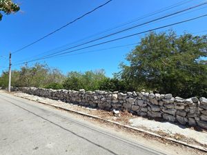 TERRENO EN ESQUINA CON PLANTIO DE LIMONES  EN YOBAIN, YUCATÁN