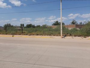 TERRENO EN VENTA EN SIERRA AZUL, CHIHUAHUA