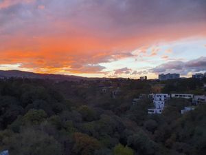 Santa Fe, a 5 minutos, Departamento con vista a Bosque Privado