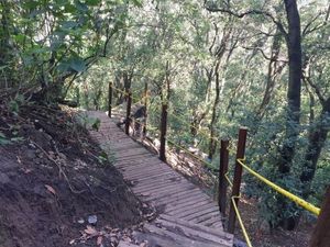 Santa Fe, a 5 minutos, Departamento con vista a Bosque Privado